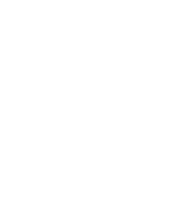 Amistad