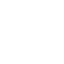 Palmz