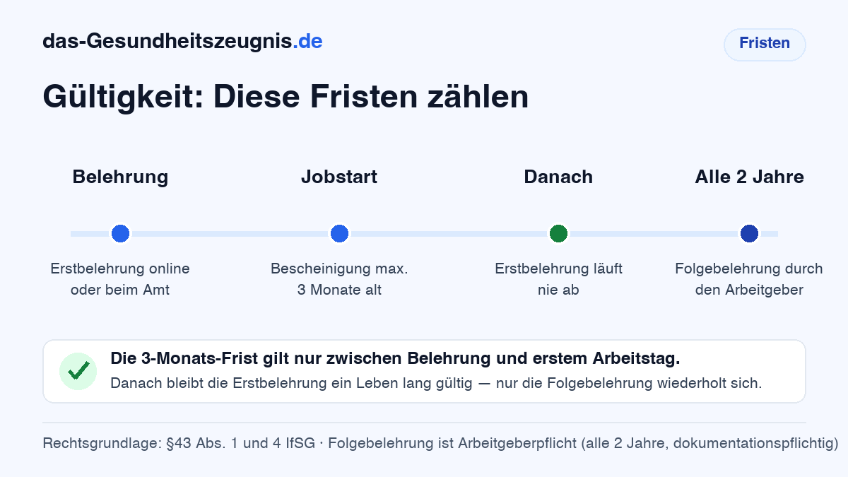 Infografik: Gültigkeit des Gesundheitszeugnisses — Bescheinigung bei Jobstart maximal 3 Monate alt, Erstbelehrung läuft nie ab, Folgebelehrung alle 2 Jahre